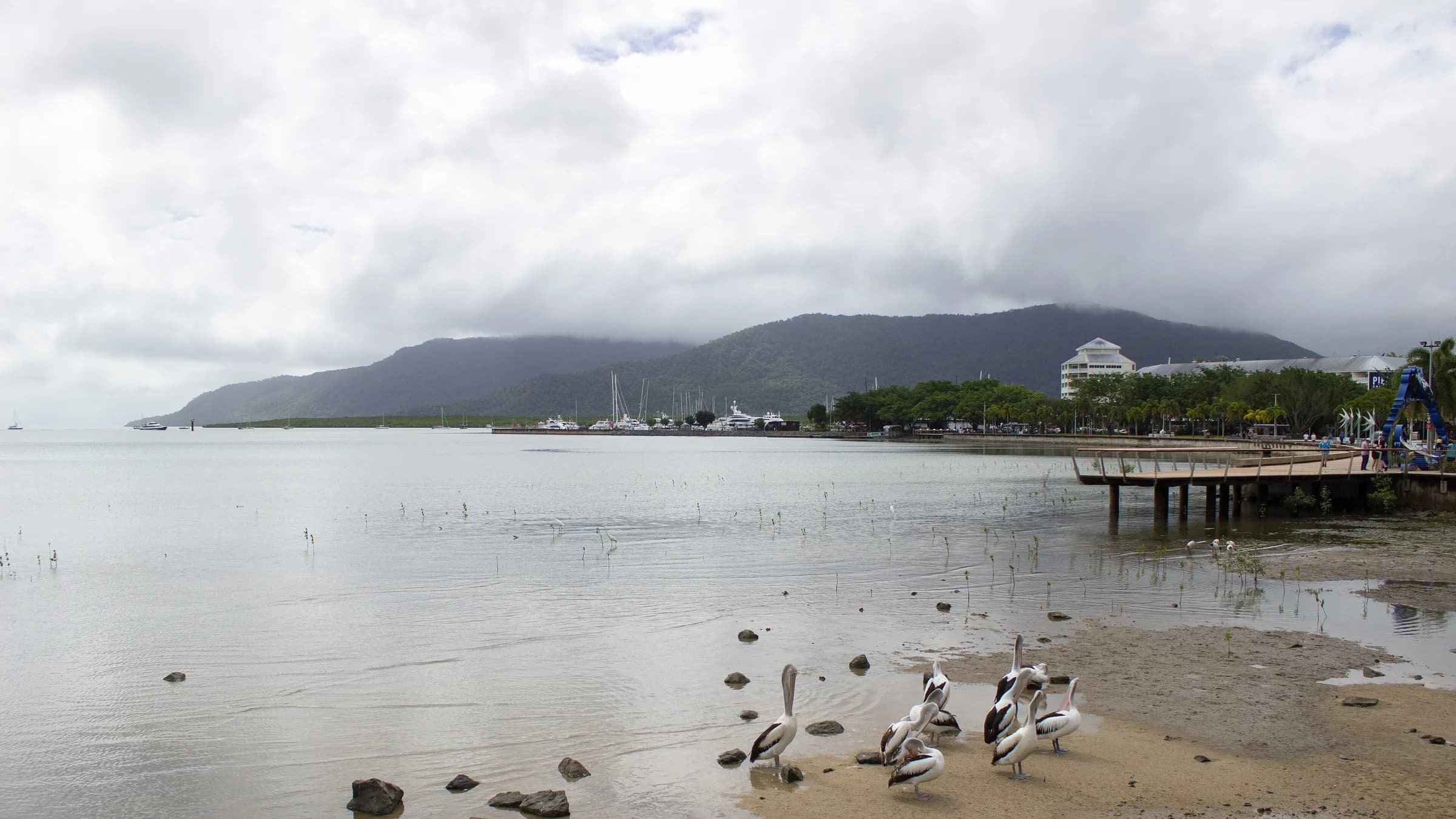 Cairns, Queensland