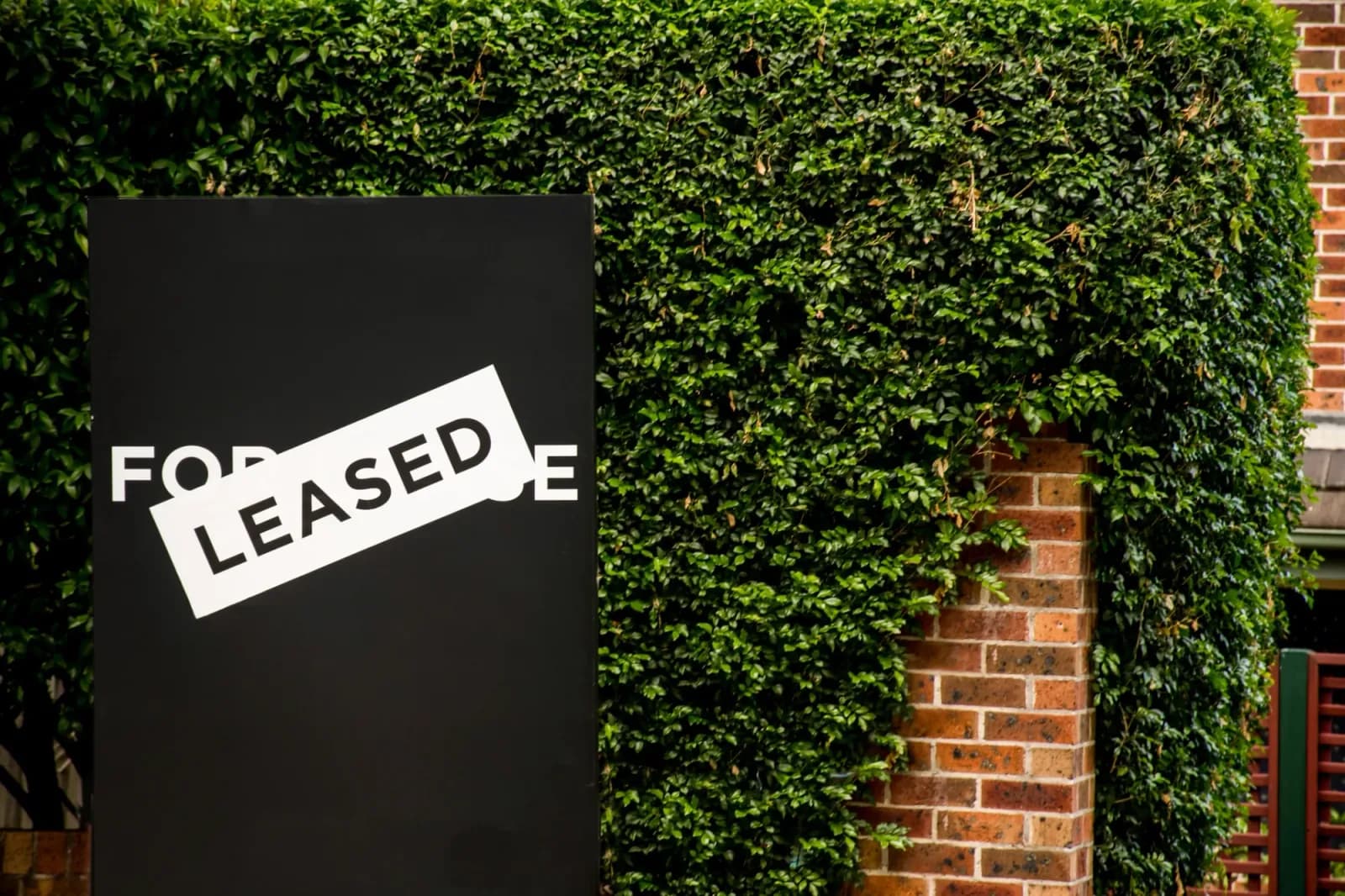 Leased sign outside a brick home covered in green ivy