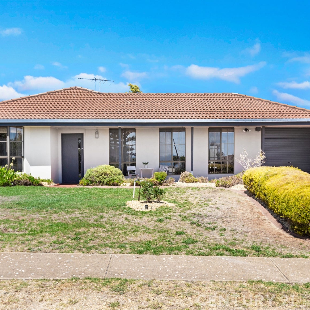 Untitled design (1) Image of Untitled design 1